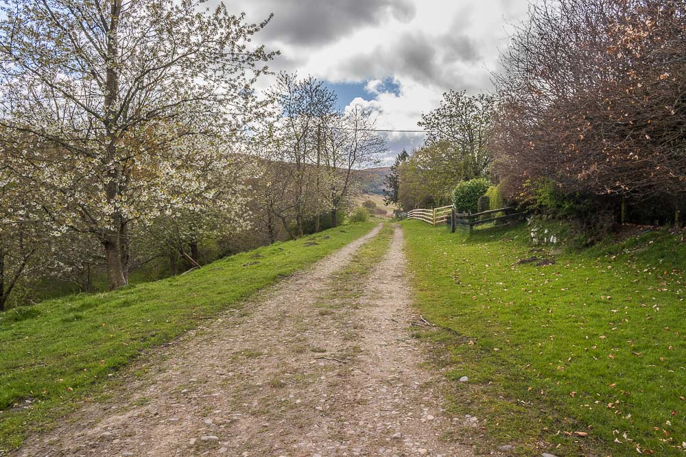 Whittondean Whittondean